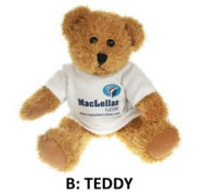teddy